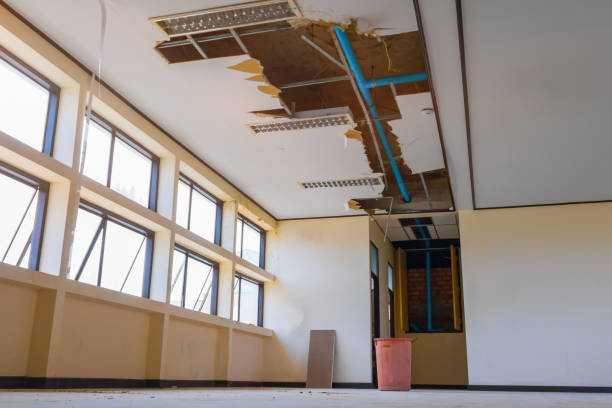 Best Flooded house restoration  in Bisbee, AZ