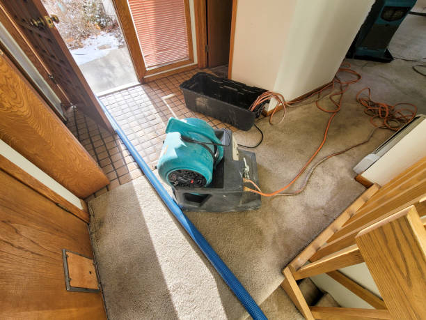 Best Emergency water damage restoration  in Bisbee, AZ