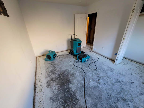 Best Sewage cleanup and water damage restoration  in Bisbee, AZ