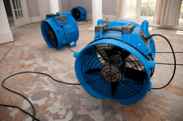 Best Water damage restoration near me  in Bisbee, AZ