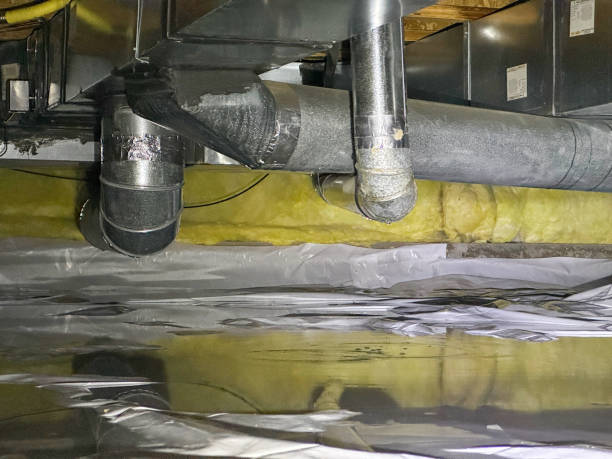 Best Water damage restoration near me  in Bisbee, AZ