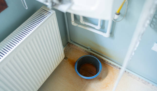 Best Sewage cleanup and water damage restoration  in Bisbee, AZ