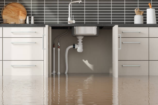 Best Flood restoration services  in Bisbee, AZ