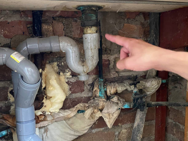 Best Local water damage restoration  in Bisbee, AZ