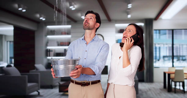 Best Carpet water damage restoration  in Bisbee, AZ