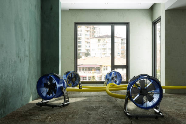 Best Fire Damage Restoration  in Bisbee, AZ