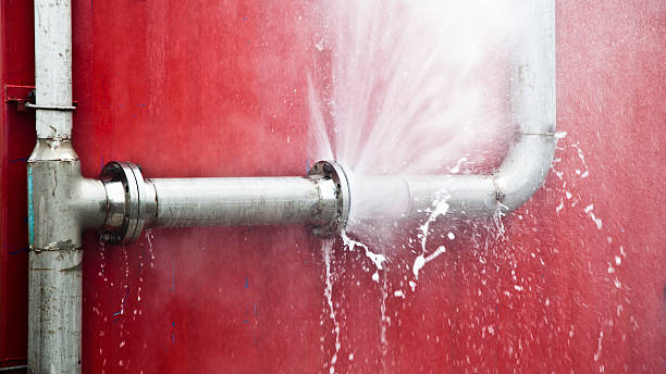 Best Residential water damage restoration  in Bisbee, AZ